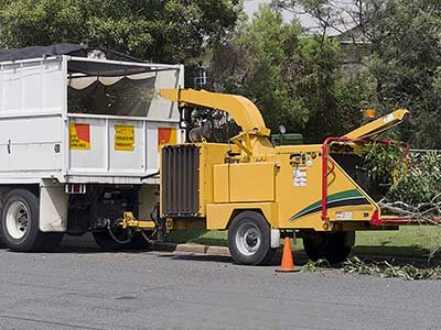 TX Mulching and Dozer Images - Mulching trees